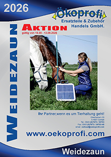 Katalogfoto