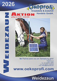 Katalogfoto