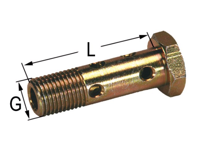 Hohlschraube M12 x 1.00 mm - AB Marine Service