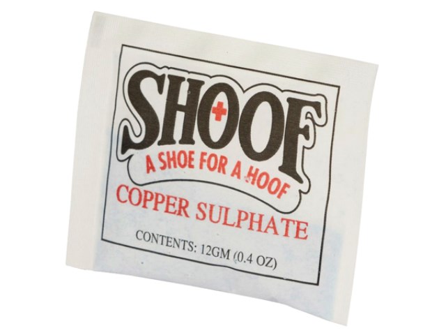 Logofoto